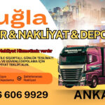 Muğla Ankara Ambar, Nakliyat Fiyatları ve Eşya Depolama